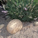 Piedras Decorativas de jardín